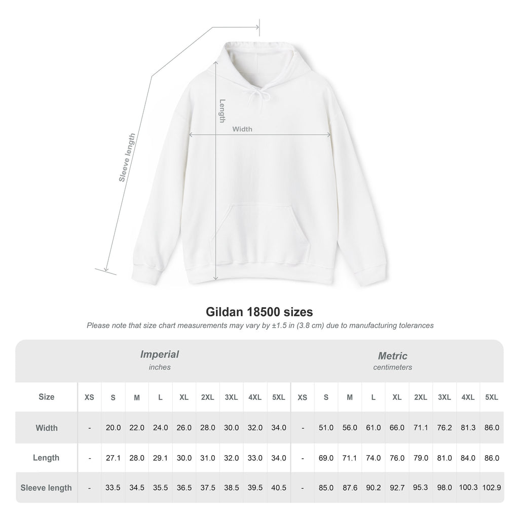 Size chart for the Bias Energy K-pop-inspired graphic hoodie with garment measurements
