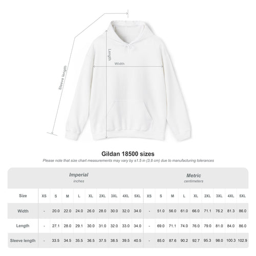Size chart for the Bias Energy K-pop-inspired graphic hoodie with garment measurements
